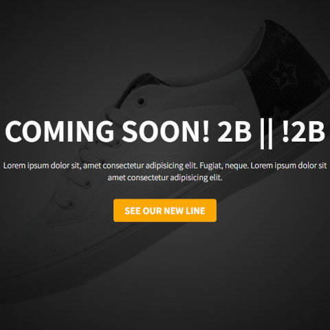 Big Shoe Company Landing Page